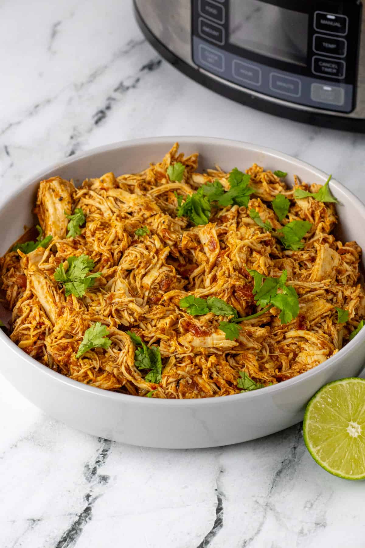 Crockpot Mexican Shredded Chicken